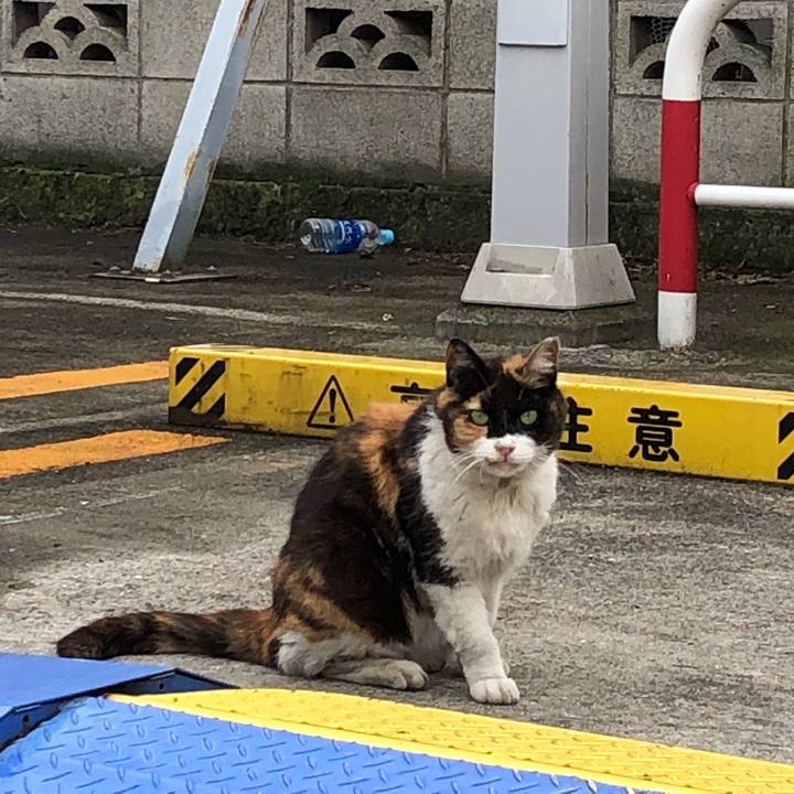 Deb11938 8f95 448d 9313 4cd93d6cbe03 1529318193852