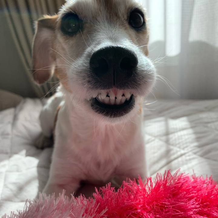 Deb14921 599d 4e43 99e0 7e57e5c293fb 1583043778772