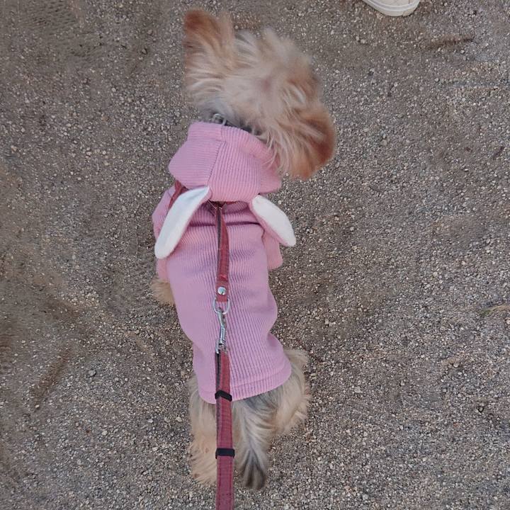 Deb14cb1 4c21 450f 984b 4ea63036a531 1576400856566