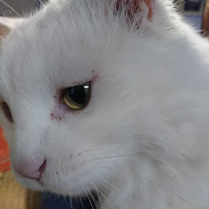 Deb14d3f 2f4a 4cb1 93e7 cb4ad3f315d9 1572992939311