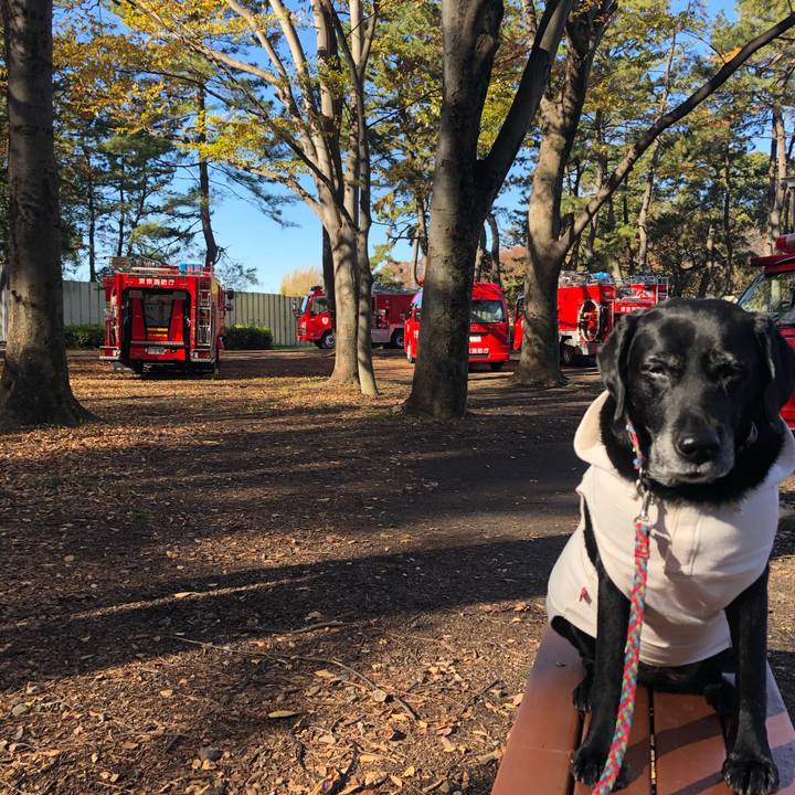 Deb16c7e dc69 40c8 bdea 8ca1a2701f2e 1575347597349