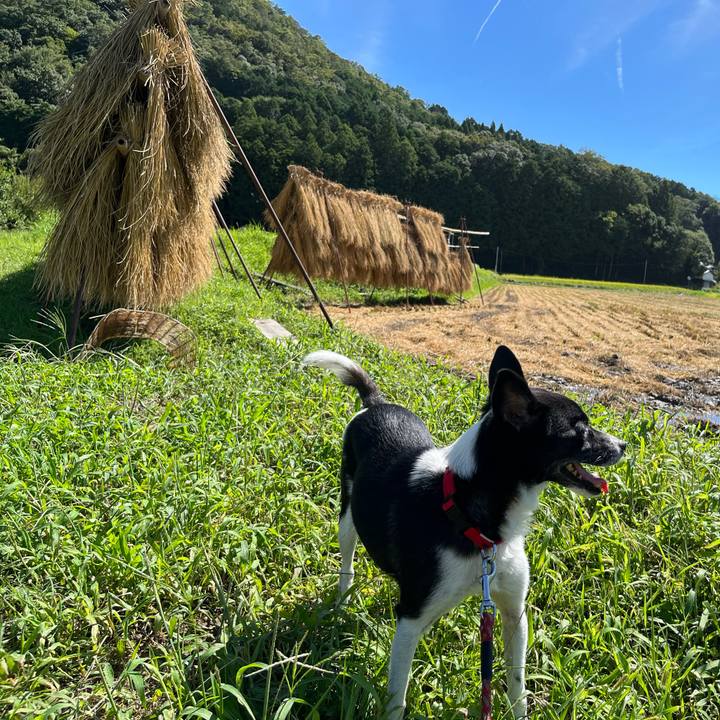 Deb17465 c1fb 4b13 ba56 3ef292baf2ad 1662363903034