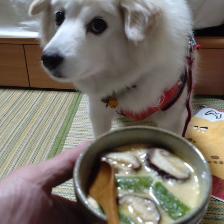 Deb18778 f0eb 4afb b041 f4d1a7f5c1f0 1641812952708