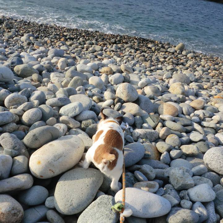 Deb1c2ad d788 430c b30c 5efc1bac37ba 1582539606916