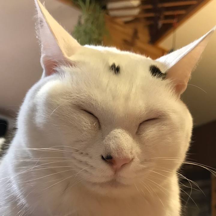 Deb1d12b db57 41c6 8955 867bd7688e88 1578702086010