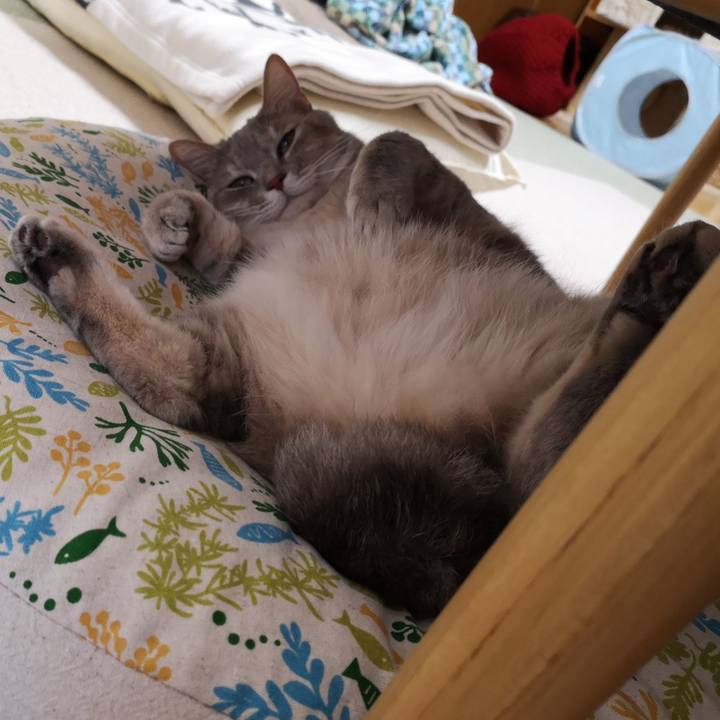 Deb1d78c 246b 478f 8ccf 43c2305e14b9 1591191825797