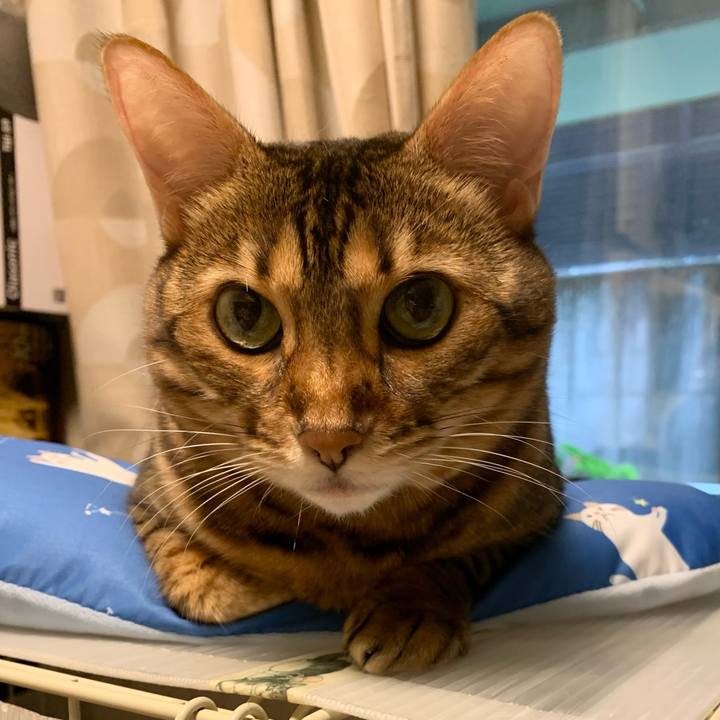 Deb21111 b40b 4bea 9954 3ddef6f7baca 1631573910476