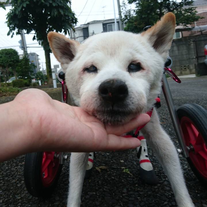 Deb228b9 c34f 4635 b20a ab2372872738 1532479444120