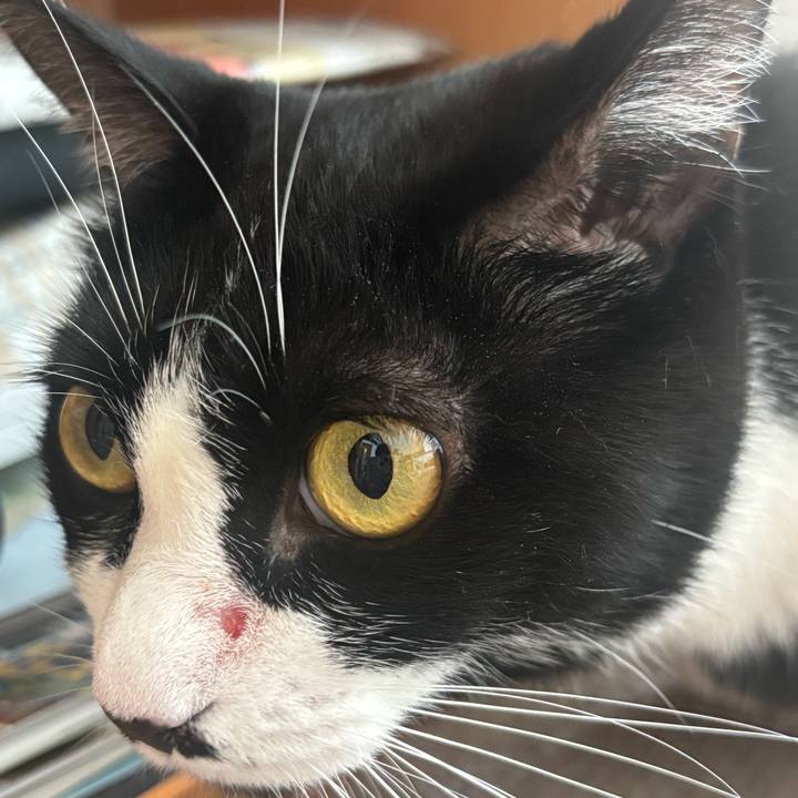 Deb26df0 45bc 4b08 b094 6efffc75a238 1760757002498