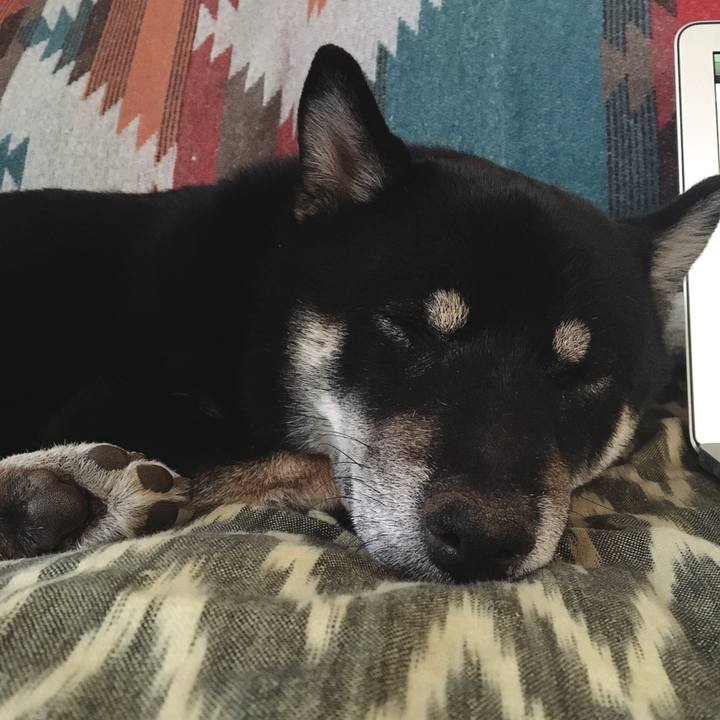 Deb2abdc 7dc1 422e a342 17a3fcdbfbe4 1545659130309