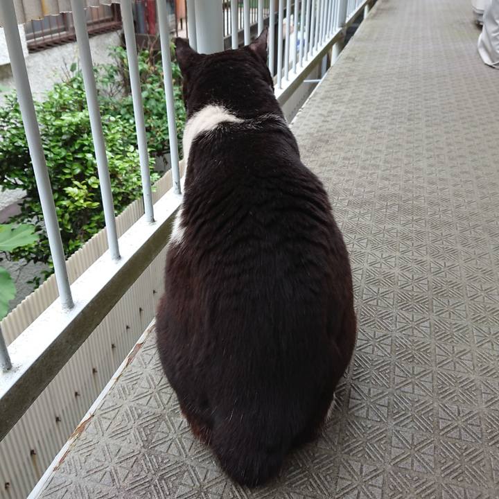 Deb2bb57 4a44 4449 9054 5bbc3eaf84b1 1590464695872