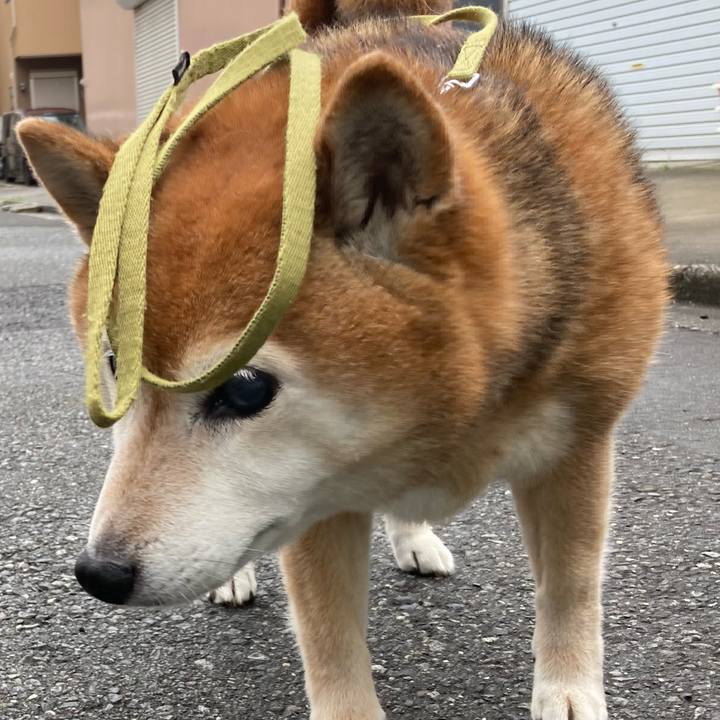 Deb31c6f bdd3 46b3 a232 2cb2606cdfeb 1717316441891