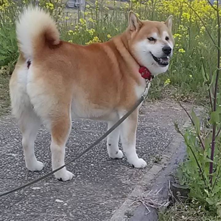 Deb330ce a1e2 4429 9138 1c7391a843c3 1678967700938