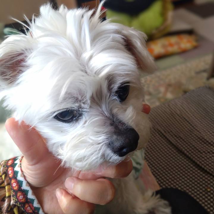 Deb36b39 7f88 4239 86d2 a72743f372be 1745748318337