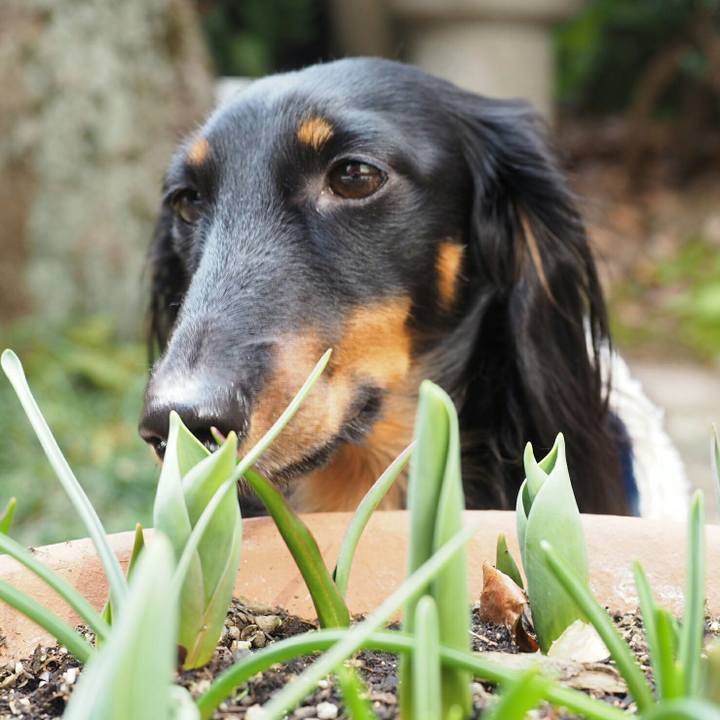 Deb37e6b ce5c 4981 b59d 43ee215a15ff 1519442830711