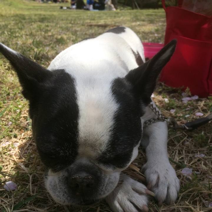 Deb386a7 3b37 4d85 b4f2 a4c318faf8c7 1636302412068