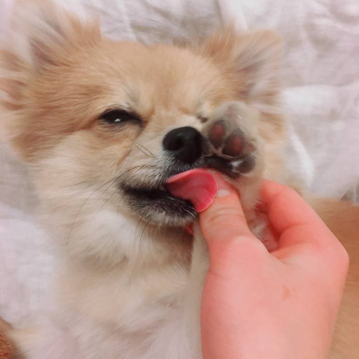 Deb391dd d858 4eb1 8c6b 15cd624da708 1519299750854