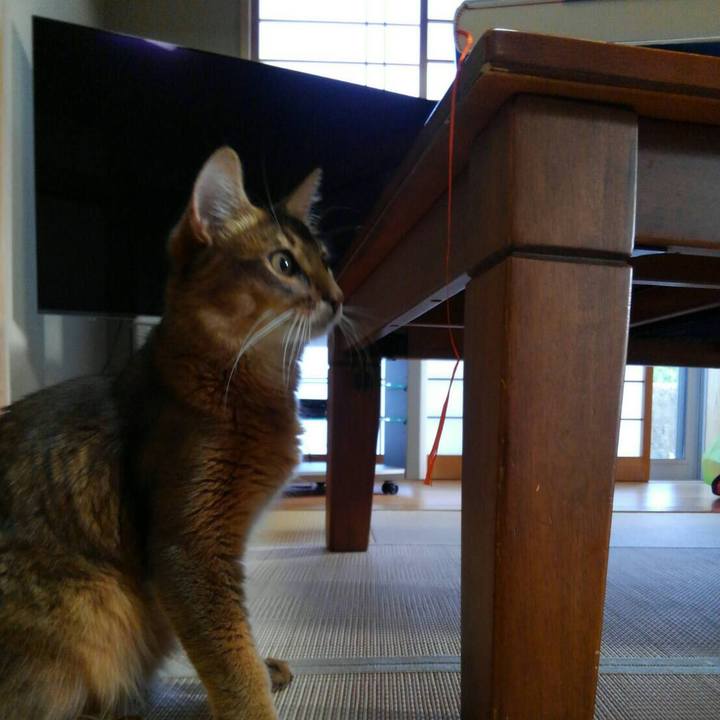 Deb394c2 93af 42d4 8b0b 0ff4fe8f42f6 1565688227681