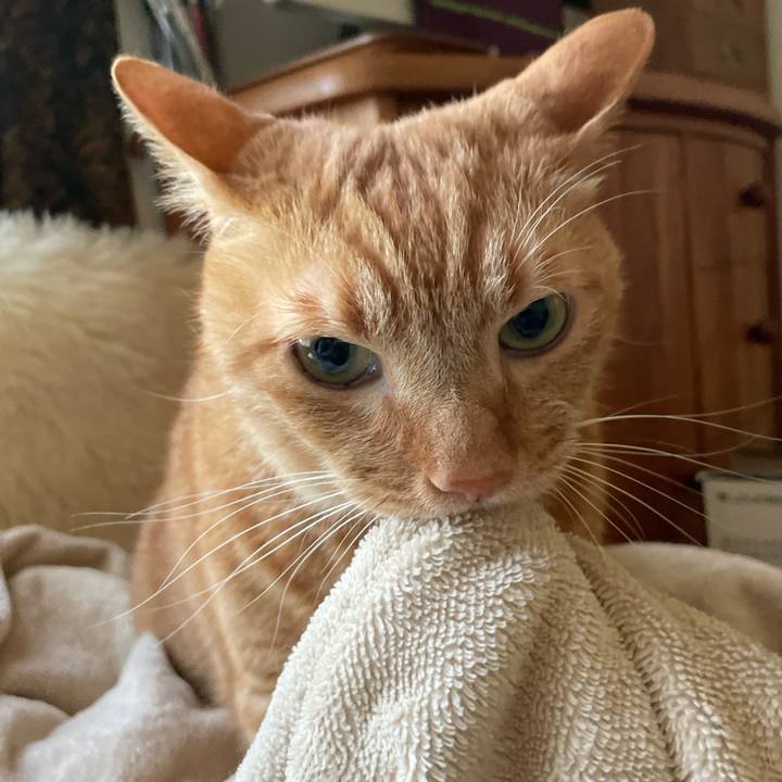 Deb413f0 902a 45c0 8219 3f162c138738 1662249248434