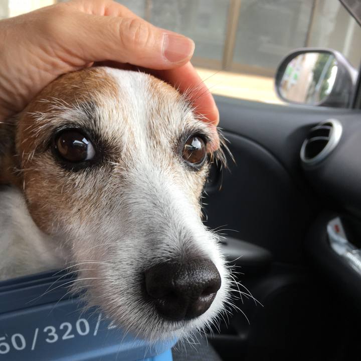 Deb4236b f29a 4879 890a 5fc0d3c29aed 1633994502743