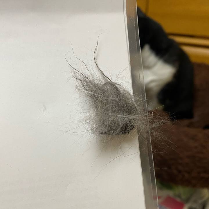 Deb45424 d203 4aea ae55 4055221c79e5 1736054949006