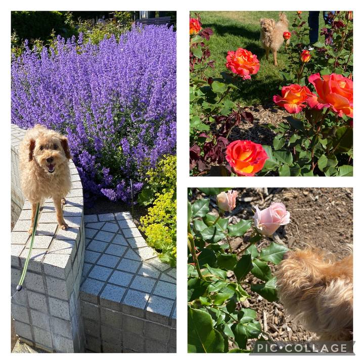 Deb492be 114b 4ed5 b4d1 d951fe67a04e 1655018791860