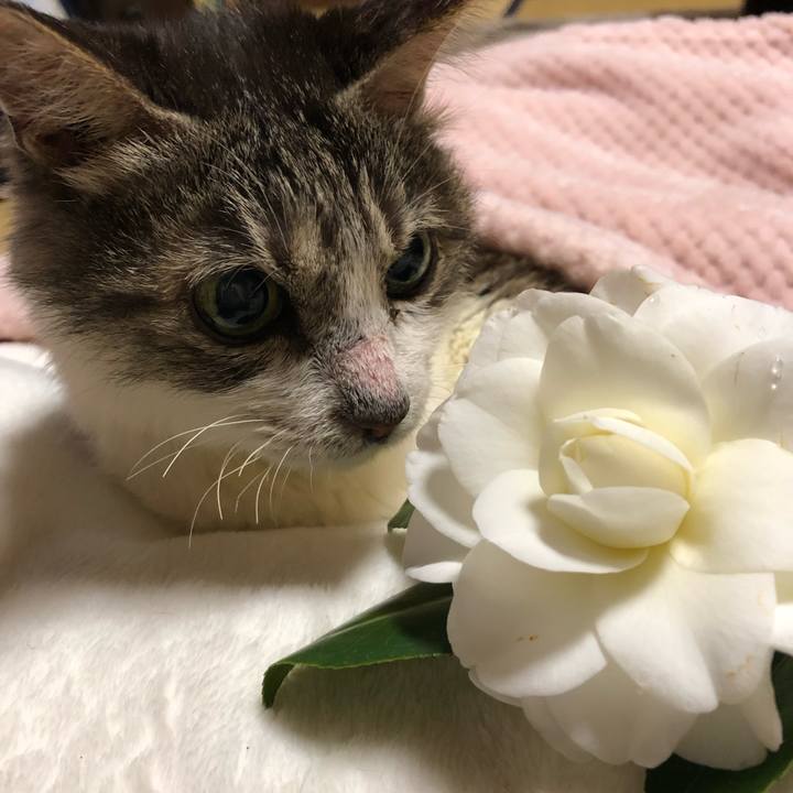 Deb4c26b ecbe 415f b7b7 6910fdf7020f 1646088228136