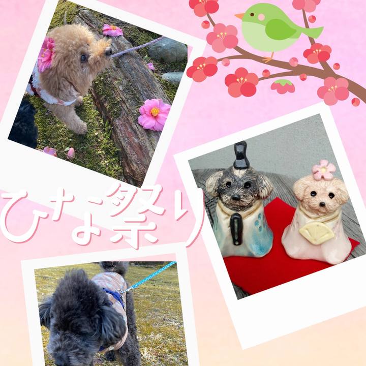 Deb4c500 f60c 47ea a5f1 5729dacfc072 1677848756742