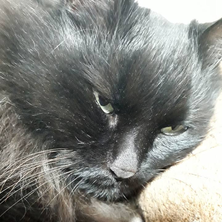 Deb4de08 e019 4fab be0a 56ad6e958108 1523531520719