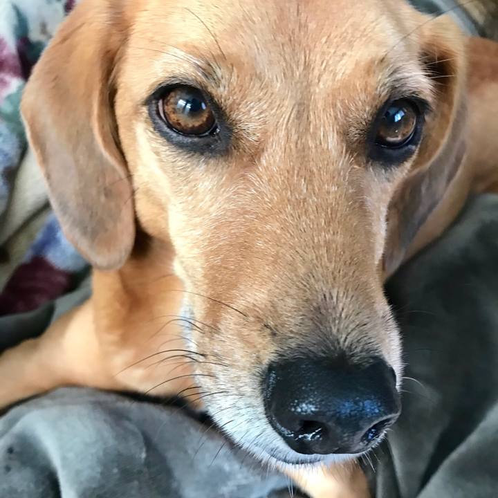 Deb512b9 248a 4f29 bc58 f9cb9e80e936 1540118565740