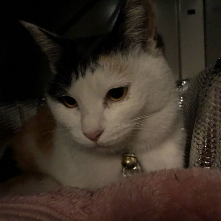 Deb51d39 c7f9 4344 b835 353b7289e36a 1608983805943