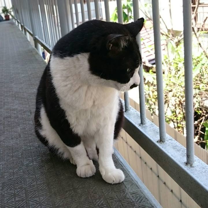 Deb521f3 d36f 4786 9295 b9a0f697ba07 1525057337159