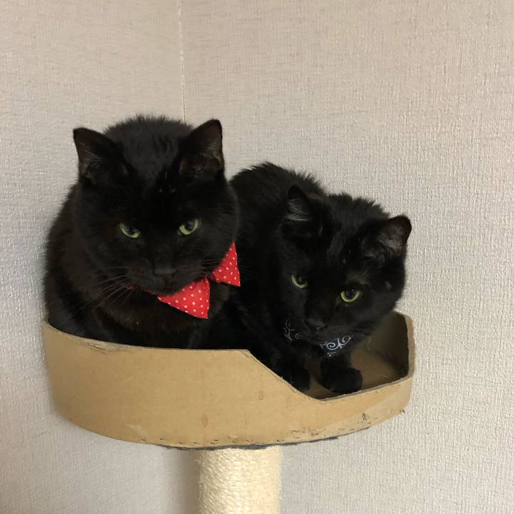 Deb5b685 6195 4c1e 86bd 42bab55f49ae 1554556119800