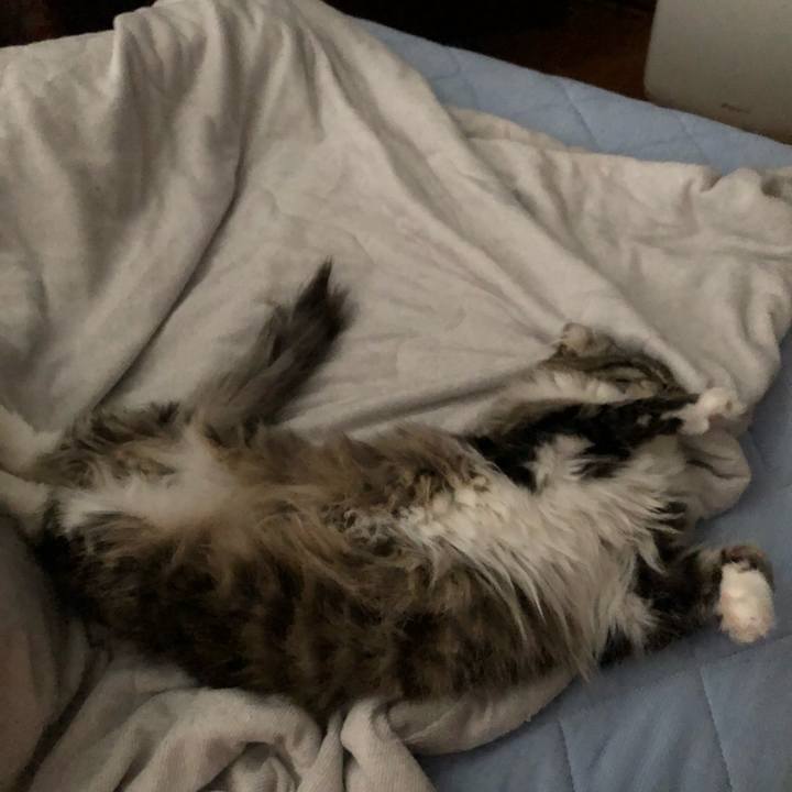 Deb5b979 8518 4c02 a9ee c63d32c8ee0e 1530784279170