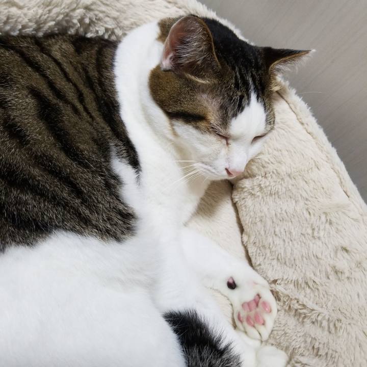 Deb5c20e 8f27 4527 a6bc 290187a3b32d 1571314516334