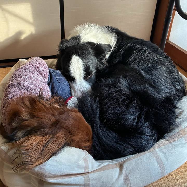 Deb5cf82 6aaf 4878 8f6e f160f38192f0 1768459283203