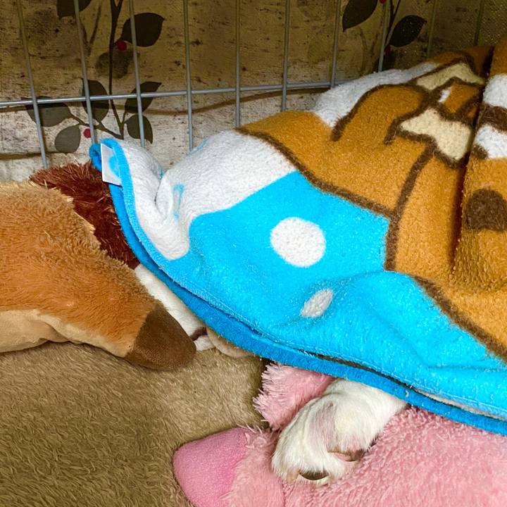 Deb5d8e1 cbb1 4b86 99d1 15663d24c892 1589599875603