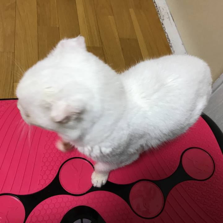 Deb5deca 8105 49c2 9d00 ed3938e63a9e 1544802650546