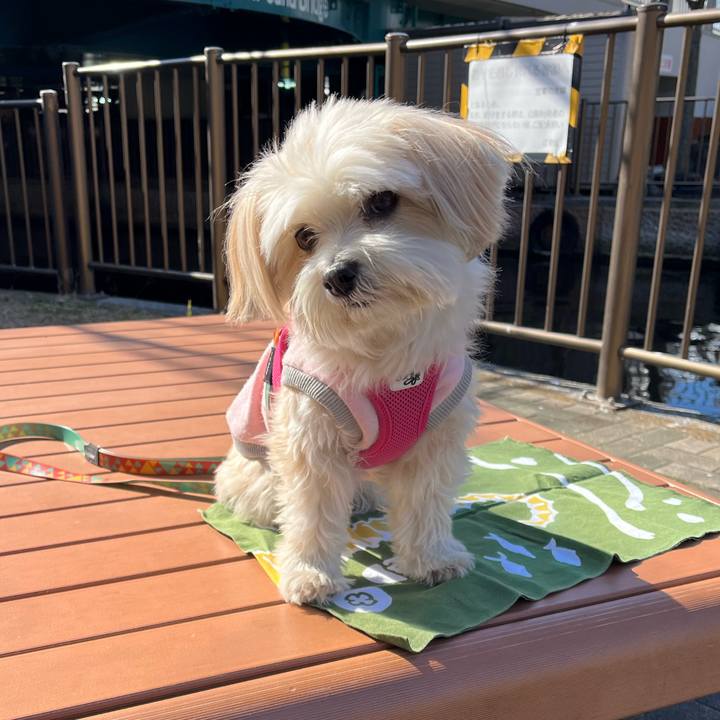 Deb64463 0820 4d4f 9f5e e7b3722ba35a 1769947585640