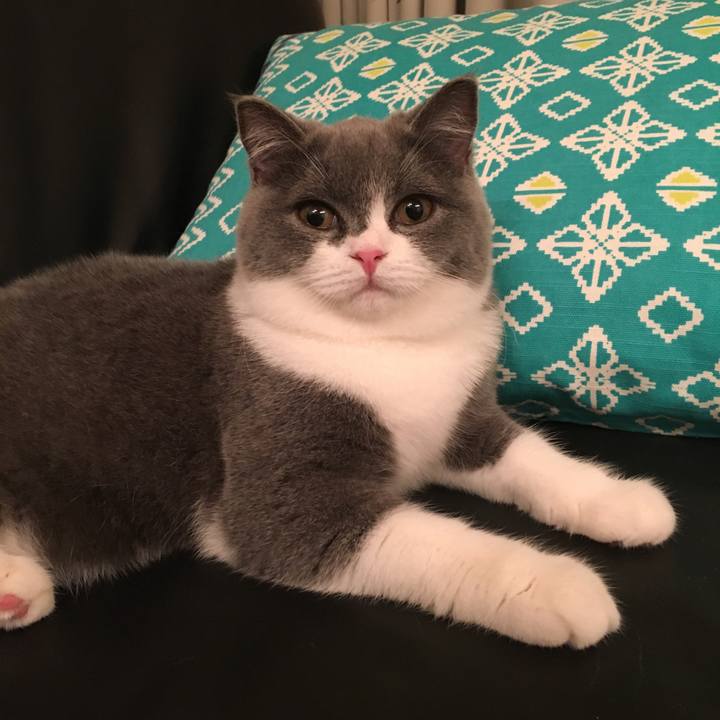 Deb645ca 0566 471e aab6 d5fb1079f2ab 1508548933776