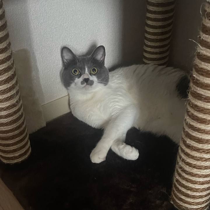 Deb65f69 63ac 4682 b167 f60a9b61fd24 1693353338938