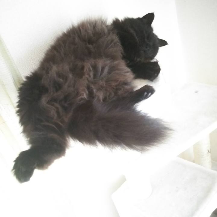 Deb67ae7 5b9d 4310 b349 443915e61442 1560558262042