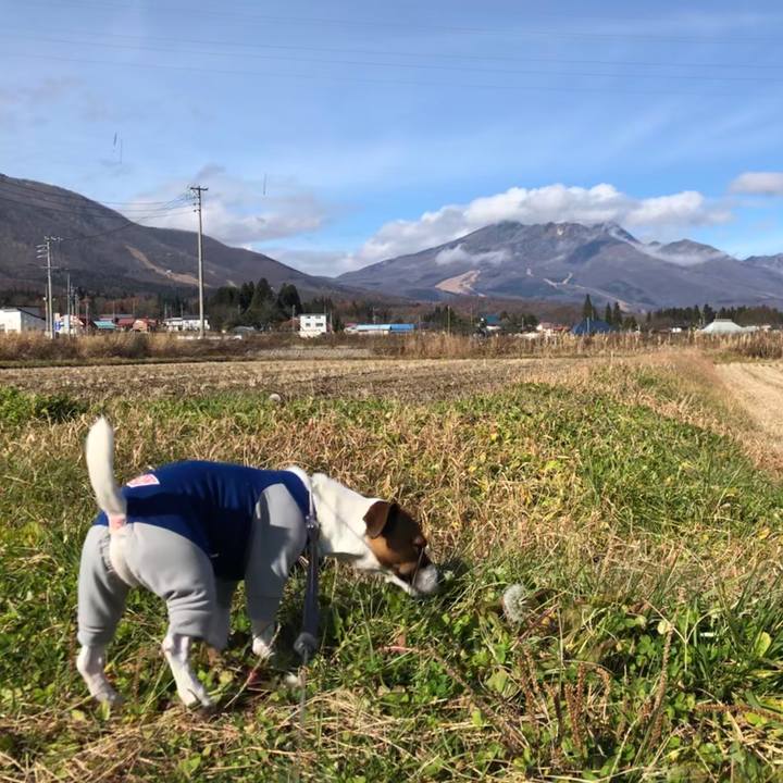 Deb6ad6b 0c41 416e 9732 8be4a948d3fb 1574568383284