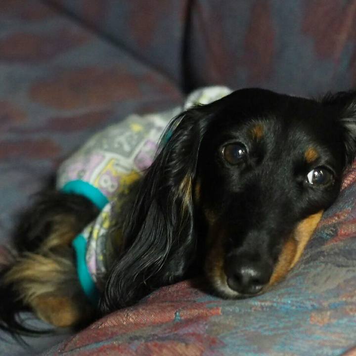 Deb700ce c75c 423b 969e ccdded7f2b0b 1526041708439