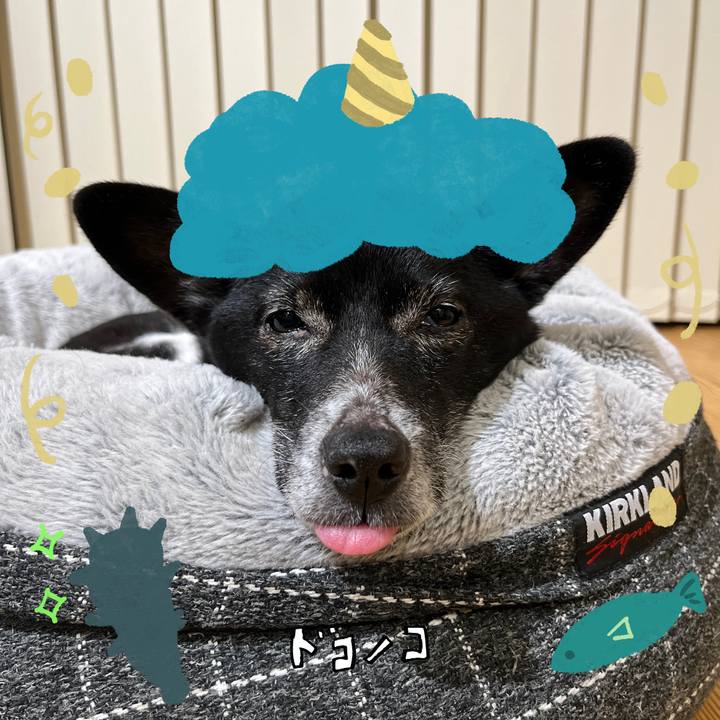 Deb73d21 2177 48f1 b24c d7fc2f597241 1706800222036