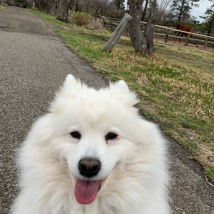 Deb73d52 c217 42b2 9e00 ad5c76fa4435 1647846069368