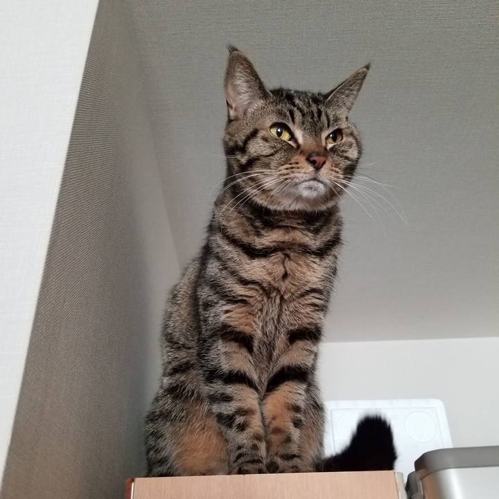 Deb742a2 c3ba 4436 ac0a 4a628f27f250 1609657054063