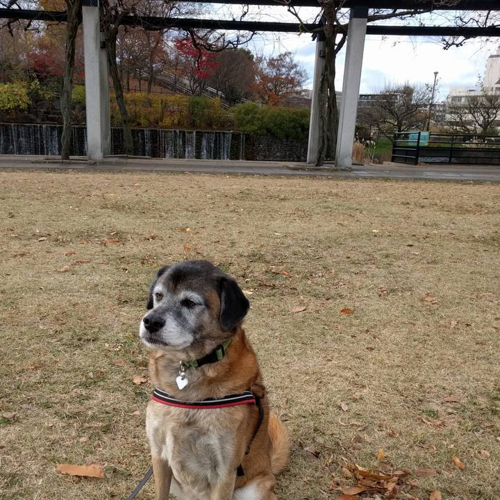 Deb792cc a919 4222 aabe 73afcb27ad30 1544659825060