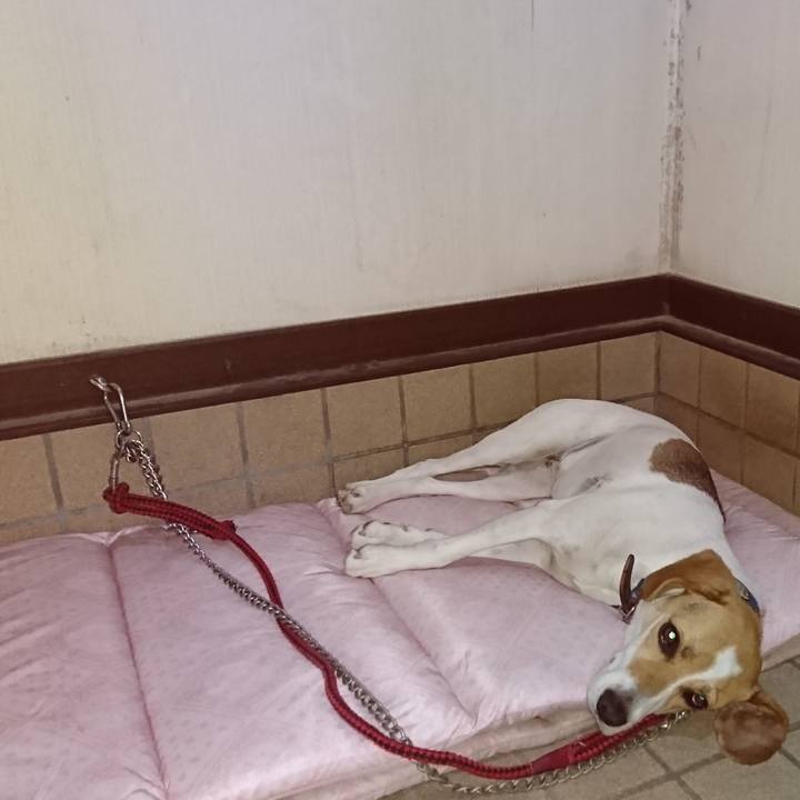 Deb7b22c 0b15 4fc7 bae0 a931a1ce5940 1562159482545