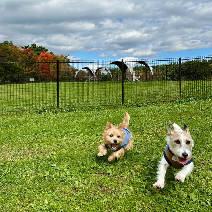 Deb8018b 554d 4aaf b338 16b4eb53c579 1761401657230